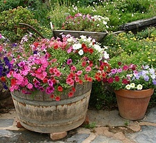 Container gardening creativity