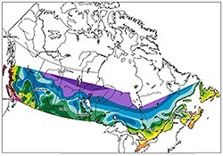 hardiness Zone Canadian map