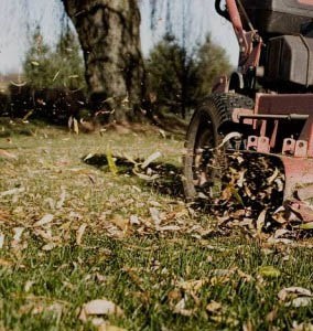 cleaning up fall leaves by mowing