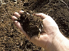 backyard composting