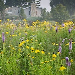 country garden design