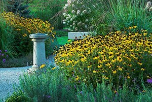 early fall garden guide