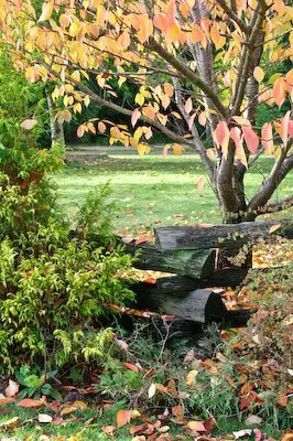 Garden ready for winter