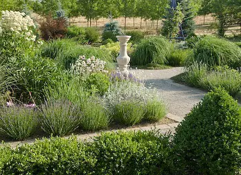 Garden Design Basics