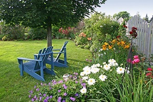 Image result for back garden with flowers pictures