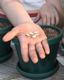 gardening with kids