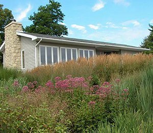 Calamagrostis x acutiflora 'Karl Foerster'