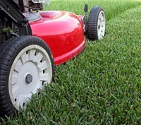 early summer garden - mowing