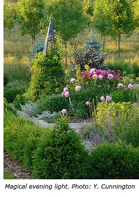 take better garden pictures