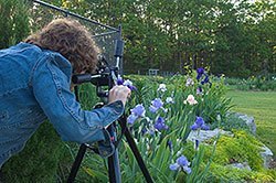 take better garden pictures
