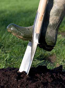 Soil How To Prepare And Improve Before Planting