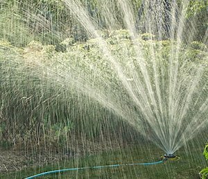 Watering the garden