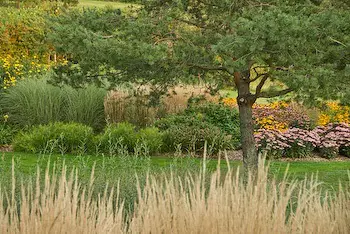 country garden planting