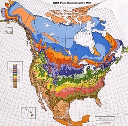 hardiness zone