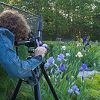 Take better garden pictures
